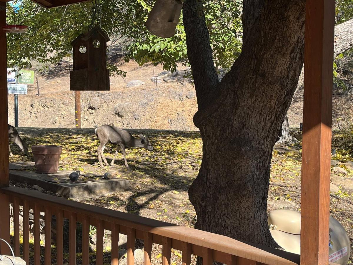 Whispering Pines Lodge Kernville Exterior photo
